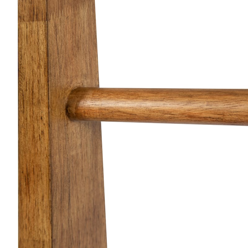 Kate and Laurel Lowry Wood Ladder Shelf - 18x14x58