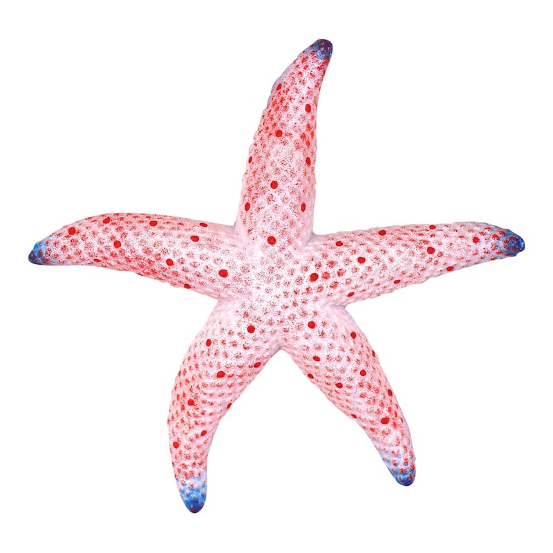 Sea Star Red Starfish Wall Decor 9 Inch Resin Plaque - Pink