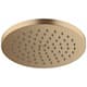 Option Brushed Bronze