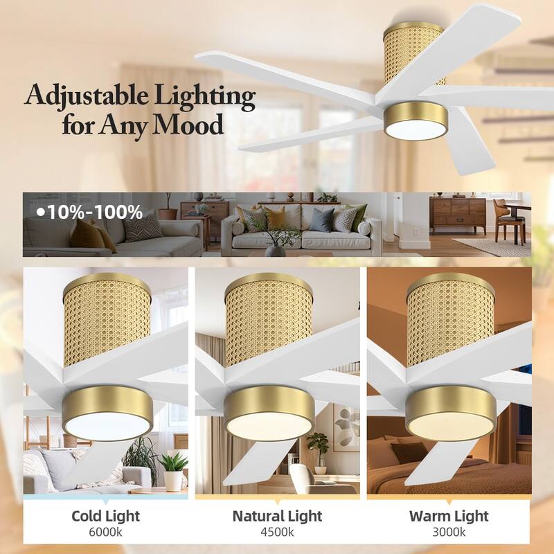 MLiAN 5 Solid Wood Blades DC Motor Indoor Downrod Flush Mount Ceiling Fan Remote Integrated LED