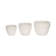preview thumbnail 18 of 32, Plant Pot - Ivory Ceramic Round Iridescent Floral Crown, 6"