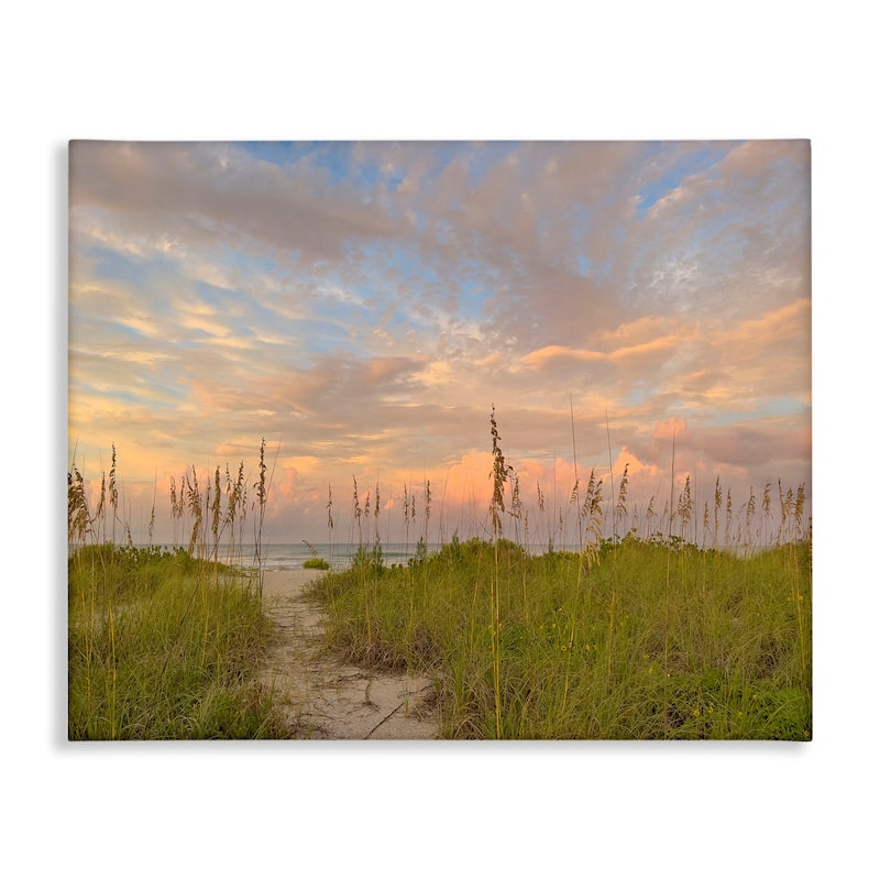 Stupell Serene Coastal Path Grasses Canvas Wall Art Design By Mary Lou Johnson - 20 x 16
