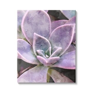 Stupell Purple Succulent Close Up Canvas Wall Art by Daphne Polselli ...