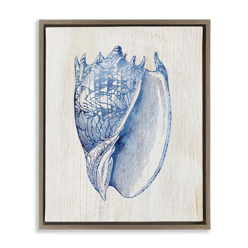 Stupell Nautical Soft Blue Conch Framed Floater Canvas Wall Art Design By Susan Arnot - 17 x 21 - Brown