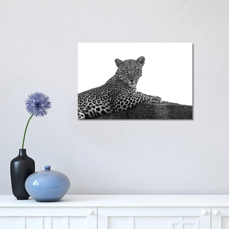 iCanvas "Leopard In Black & White" by Susan Michal Canvas Print - 12x18x1.5