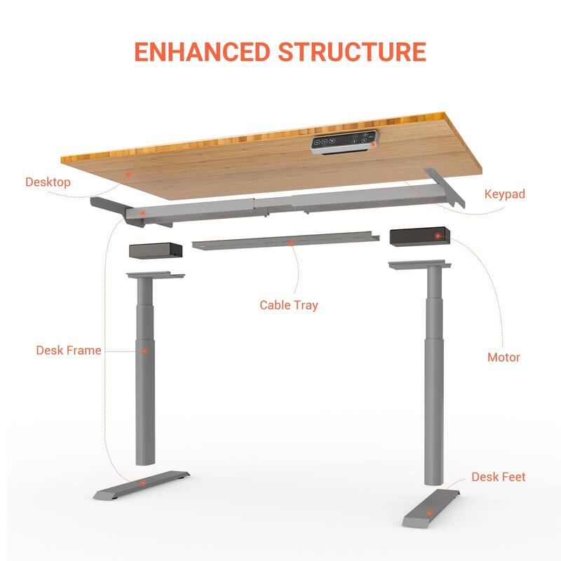 FLEXISPOT Home Office Height Adjustable Standing Desk 3-Stage Dual Motor Bamboo Rectangle Desktop