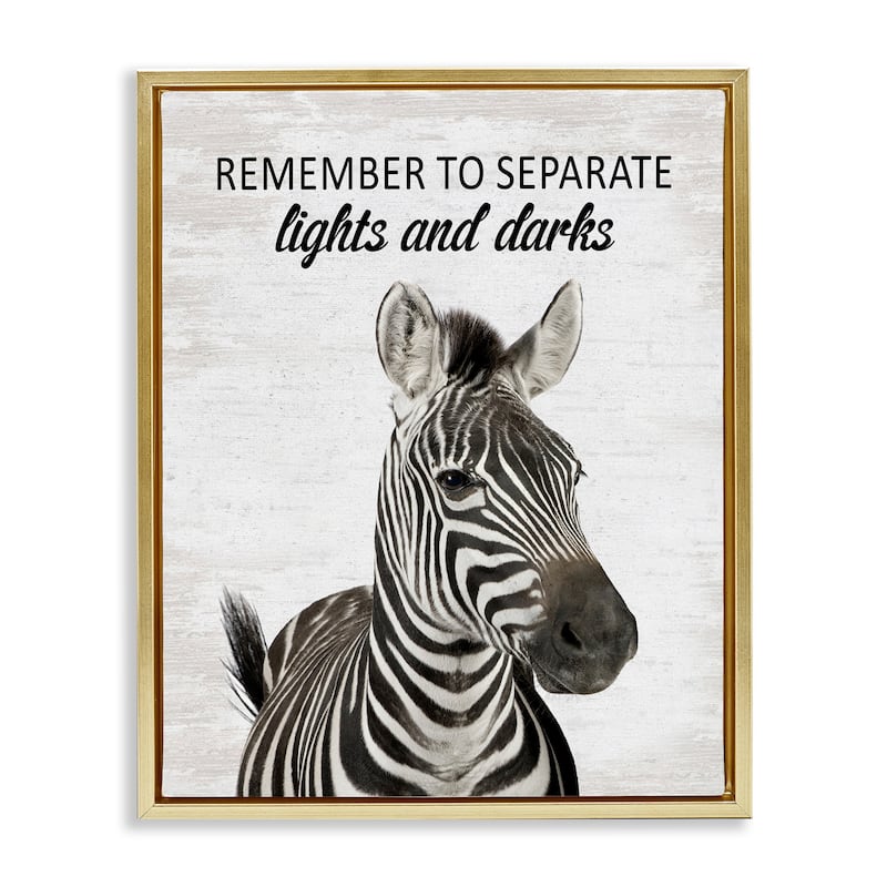 Stupell Remember To Separate Laundry Framed Floater Canvas Wall Art Design By Lettered and Lined - 17 x 21 - Gold