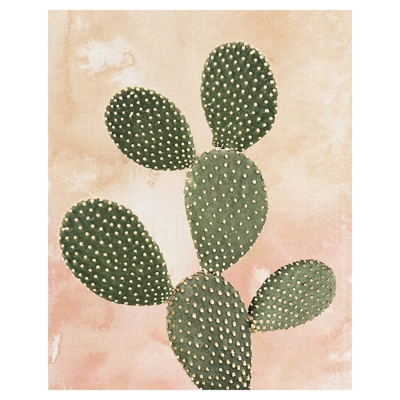 Desert Wash Coral I Canvas Art Print