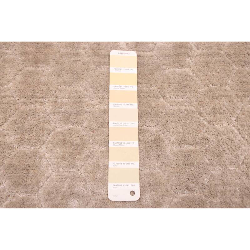 ECARPETGALLERY Hand Loomed Elysian Light Khaki Viscose Rug - 7'11 x 10'0