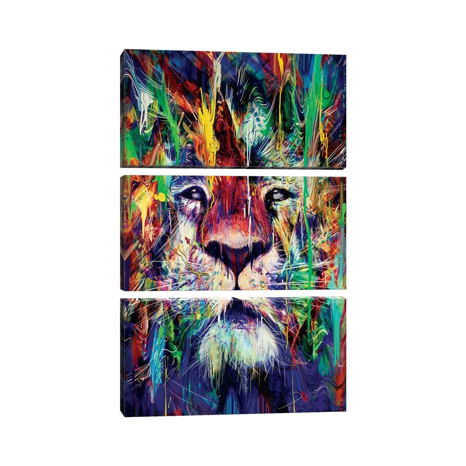 iCanvas "Lion I" by Nicebleed 3-Piece Canvas Wall Art Set