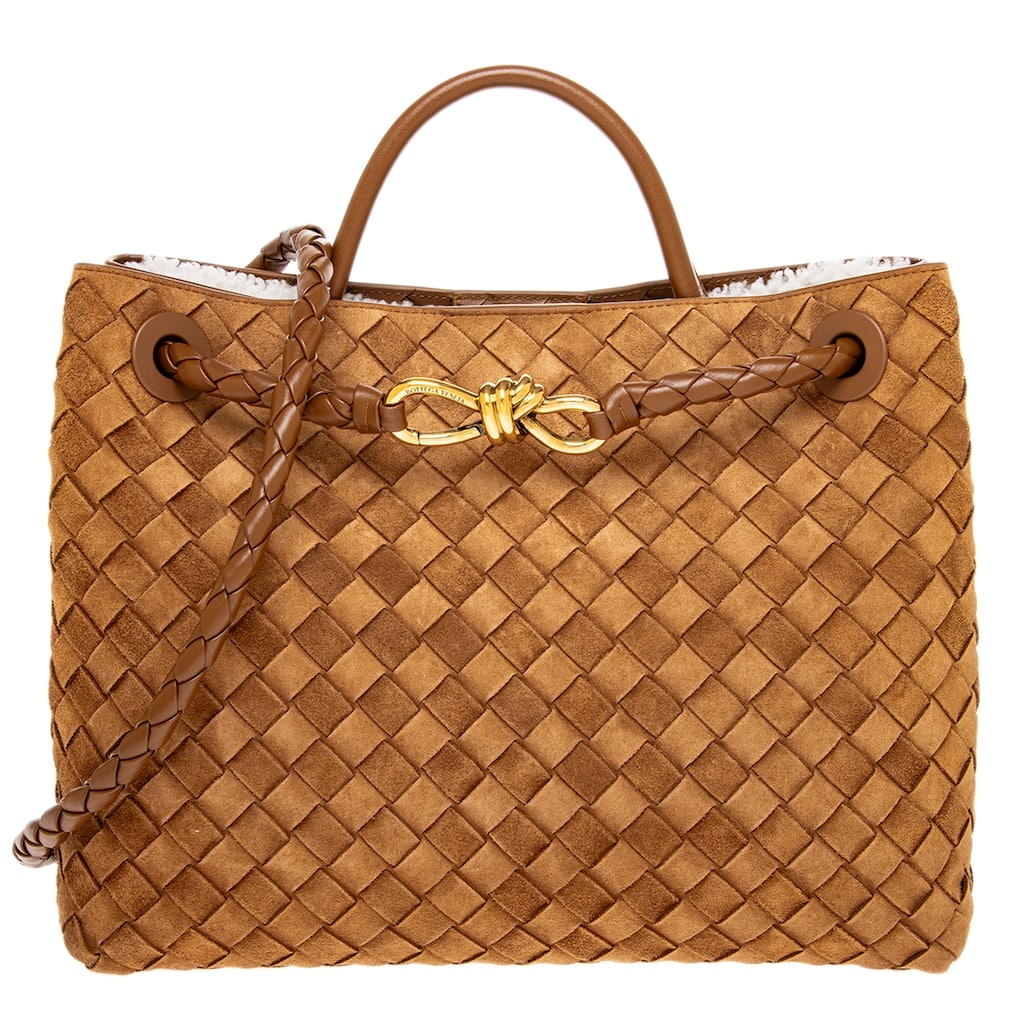 Bottega Veneta Medium Andiamo Bag