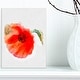 preview thumbnail 7 of 8, Designart "Large Red Poppy on White Back" Flower Artwork on Canvas 8 in. wide x 12 in. high