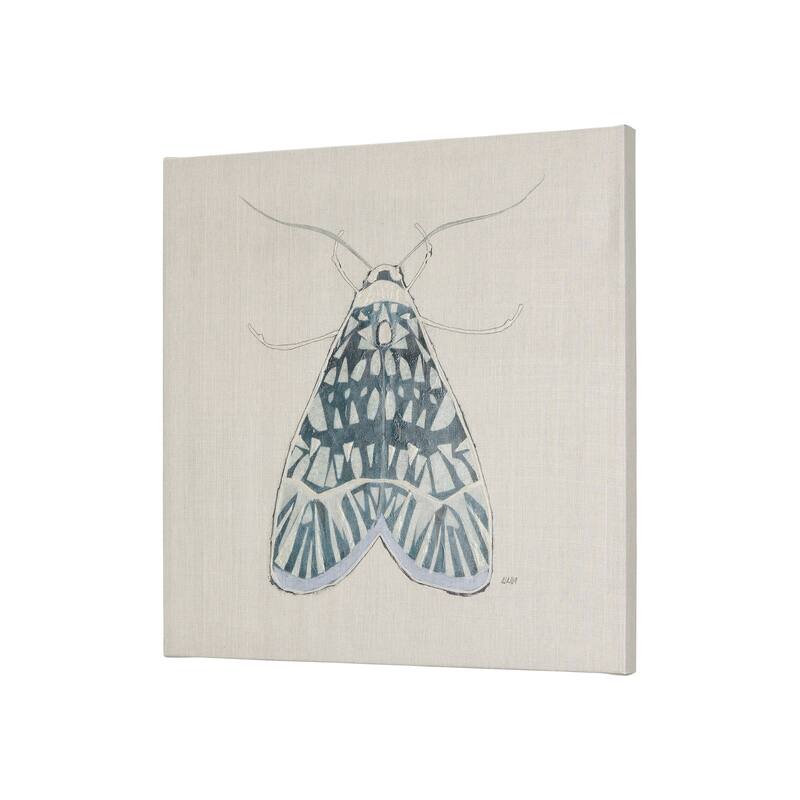 Moth Blue I (20 x 20 ) Canvas Art Print