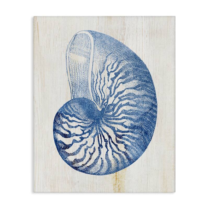 Stupell Blue Nautilus Shell Canvas Wall Art Design By Susan Arnot - 24 x 30