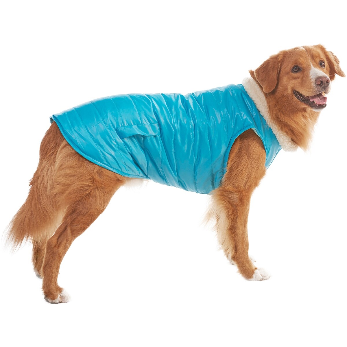 Shop Blue Extra Large Dog Reversible Puffy Coat Overstock