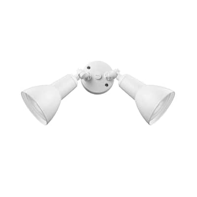 Millennium Lighting 2 Light LED Flood Light Fixture