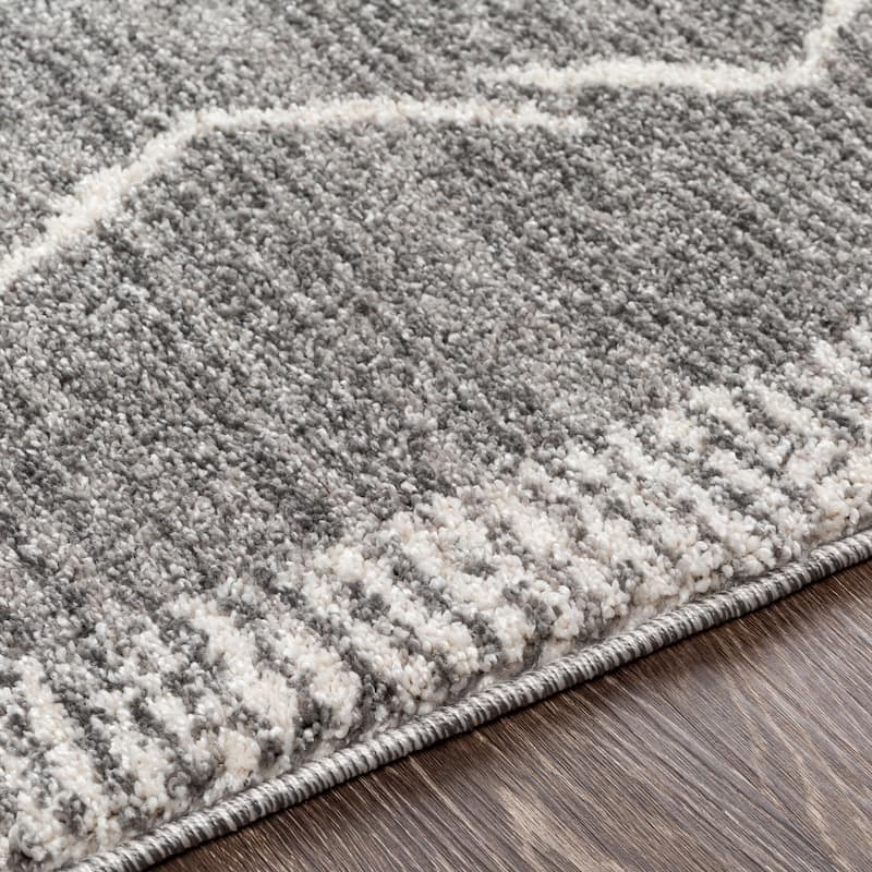 Livabliss Transitional Andorra Tribal Area Rug