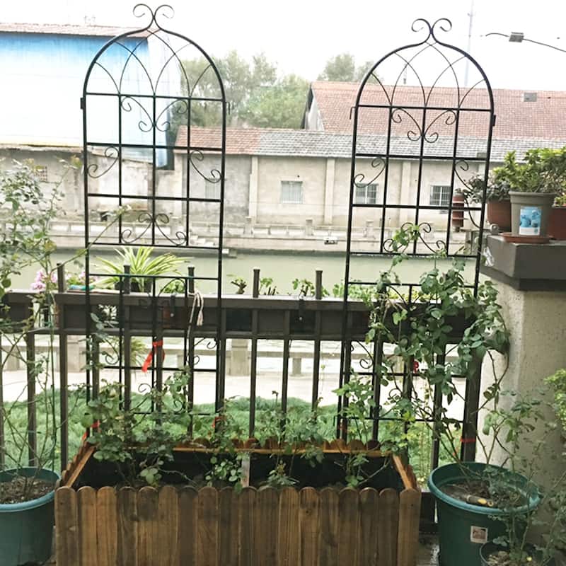 2 Pack Metal Garden Trellis outdoor Flower Support