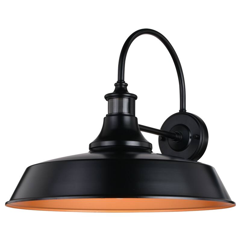 Dorado Bronze Motion Sensor Dusk to Dawn Farmhouse Barn Dark Sky Outdoor Wall Light