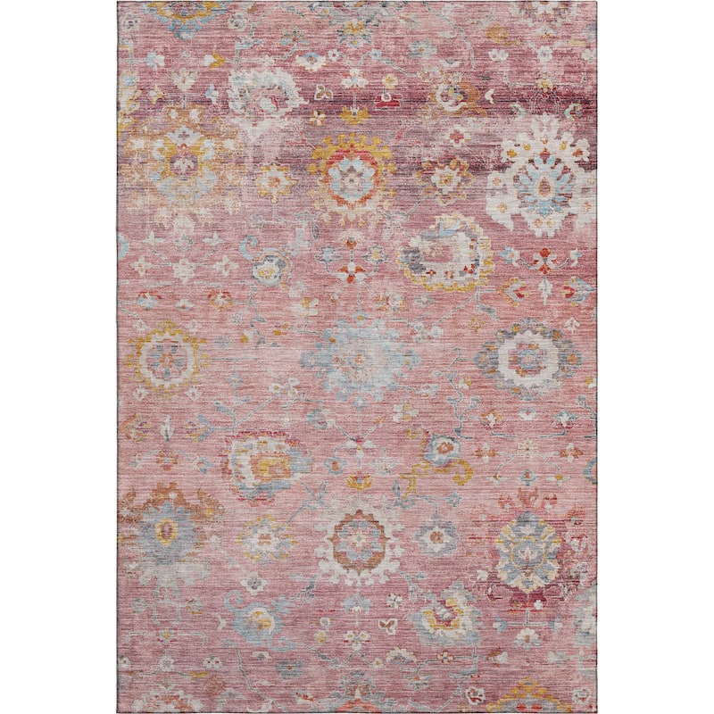Premium Washable Super Soft Traditional Vintage Mayfield Rug