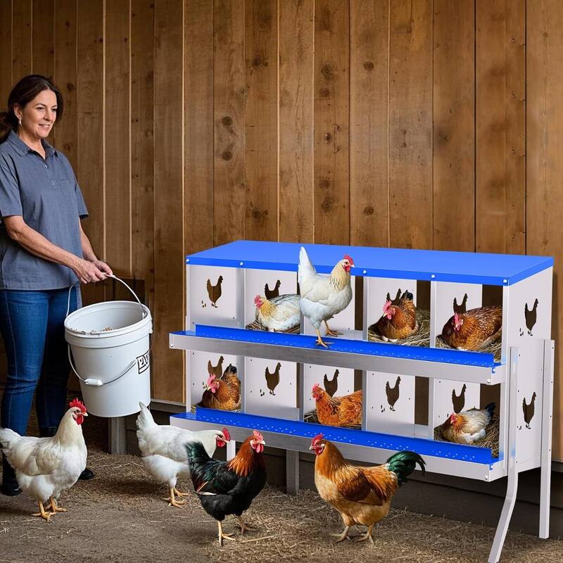 10 Compartment Metal Chicken Nesting Box, Laying Box for Hens Ducks Rabbits, Blue