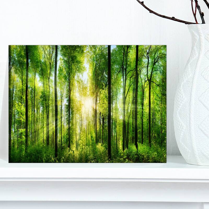 Designart "Forest with Rays of Sun Panorama" Landscape Canvas Print - 12 in. wide x 8 in. high - 1 Panel