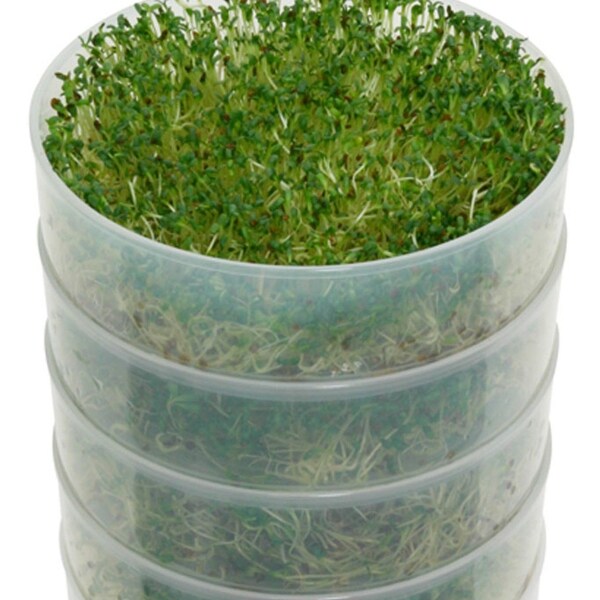 Victorio Kitchen Pro 4-Tray Seed Sprouter