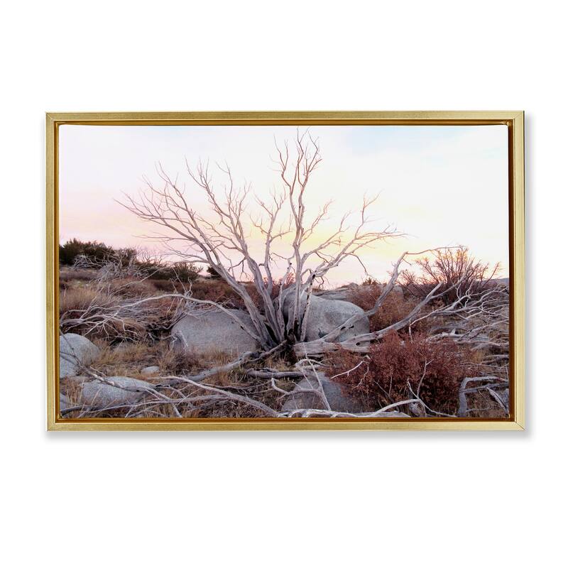 Stupell Rocky Foothills Terrain Framed Floater Canvas Wall Art Design By Gemma Bardot - 31 x 21 - Gold
