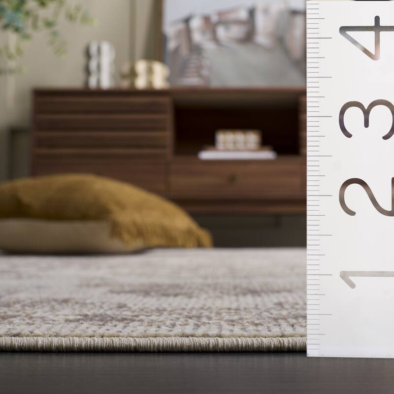 SAFAVIEH Madison Katelijne Boho Medallion Distressed Area Rug