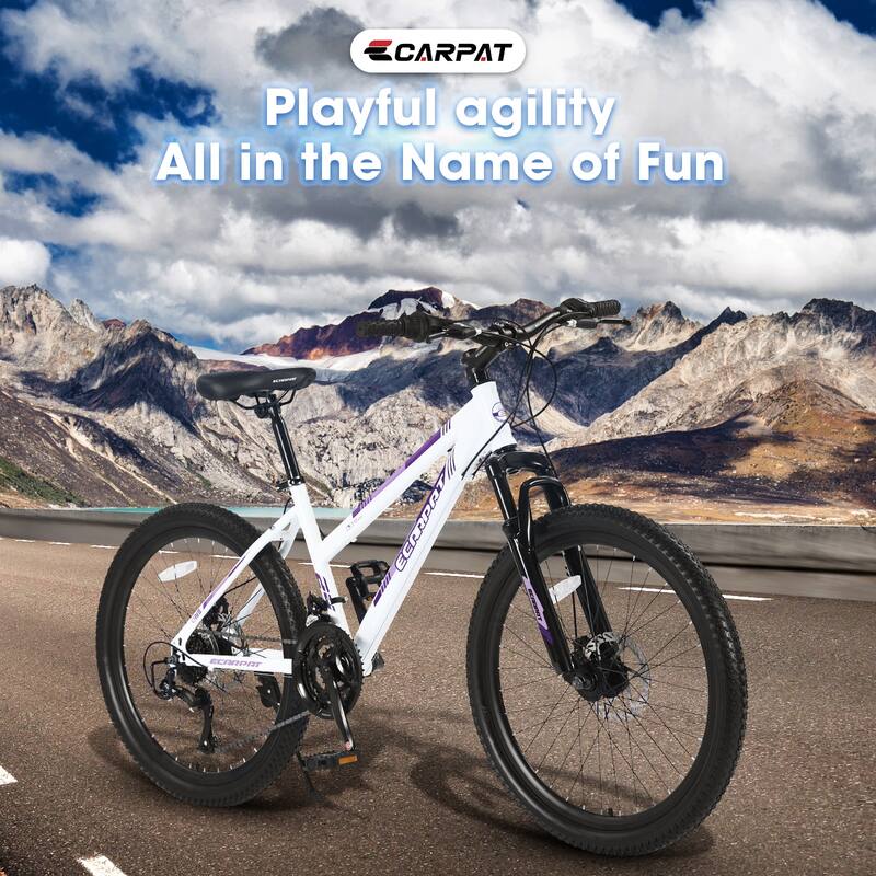 26 Inch Mountain Bike with 100mm Front Suspension 21 Speed Gears, Dual Disc Brakes for Trail and Urban