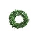 preview thumbnail 4 of 5, Preserved Genuine Boxwood Wreath 6.0"L x 1.5"W x 6.0"H