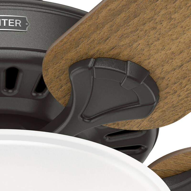 Hunter 52" Pro's Best Traditional Ceiling Fan with LED Light Kit and Pull Chain - DC Motor - ENERGY STAR!