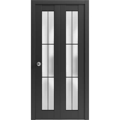 Bi-fold Doors 36 x 80 Planum 2122 Matte Black Sturdy Tracks