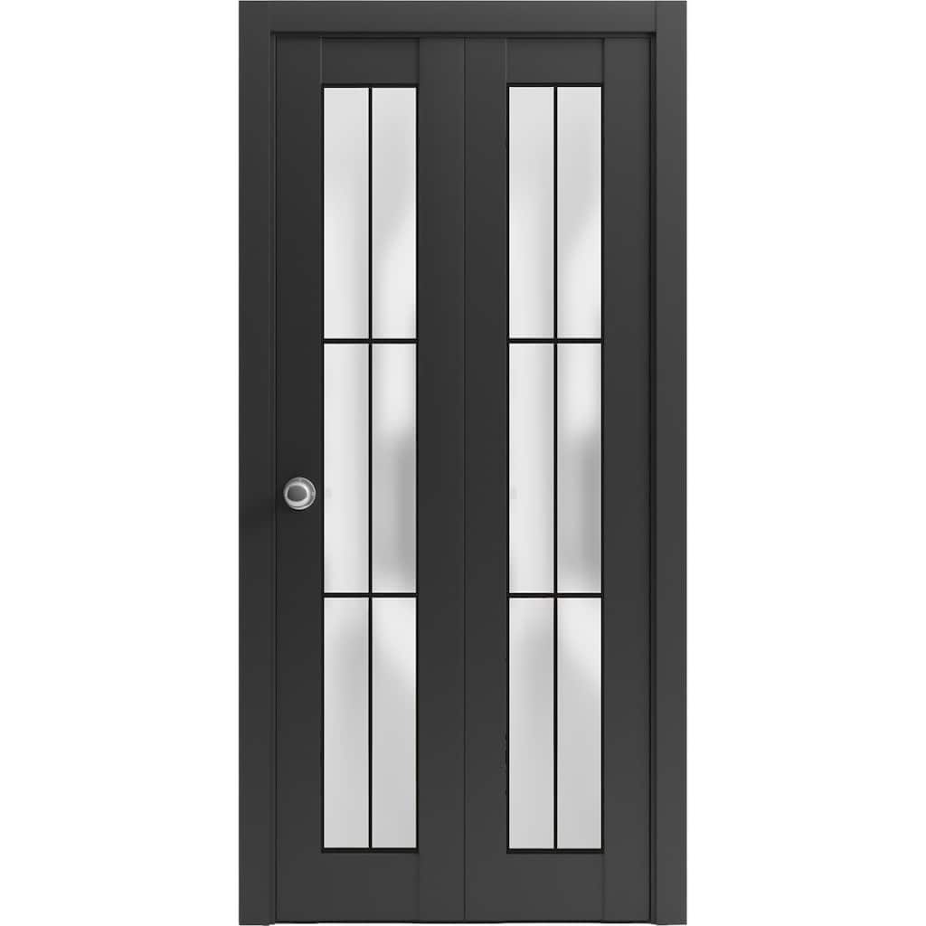 Bi-fold Doors 36 x 80 Planum 2122 Matte Black Sturdy Tracks