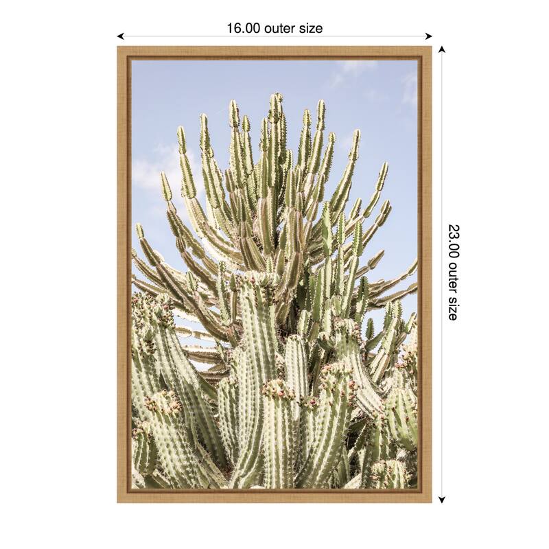 Cactus Forest by Shot by Clint Framed Canvas Wall Art Print - Sylvie Natural - 16 x 23 in