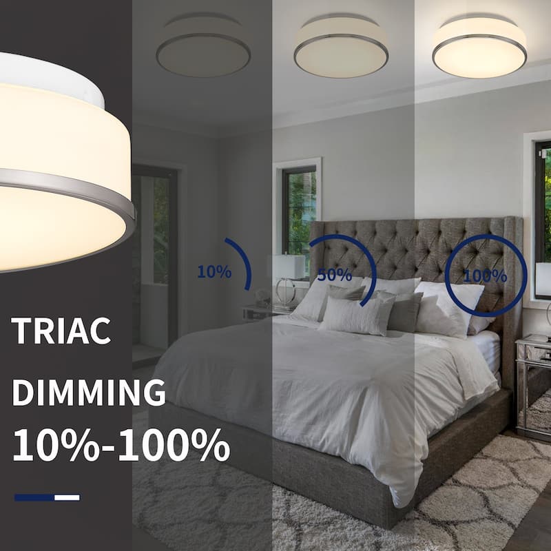 Flush Mount Ceiling Light with Frosted Glass Shade - N/A