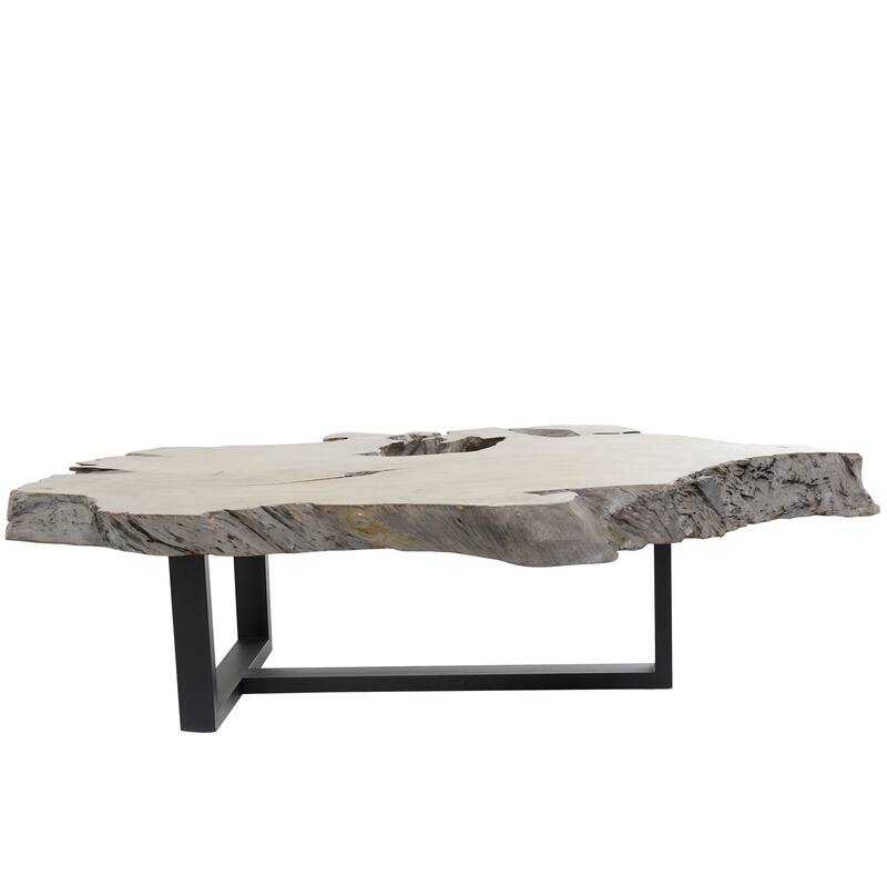 Teak Wood Handmade Live Edge Wood Slab Coffee Table with Black T Stand Base - Gray - Roche River Decor - 32"Wx50"Lx15"H