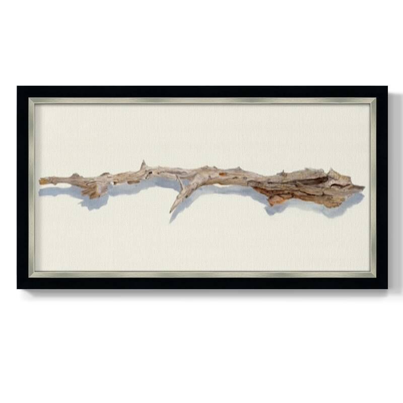 Driftwood Study I Premium Framed Canvas- Ready to Hang