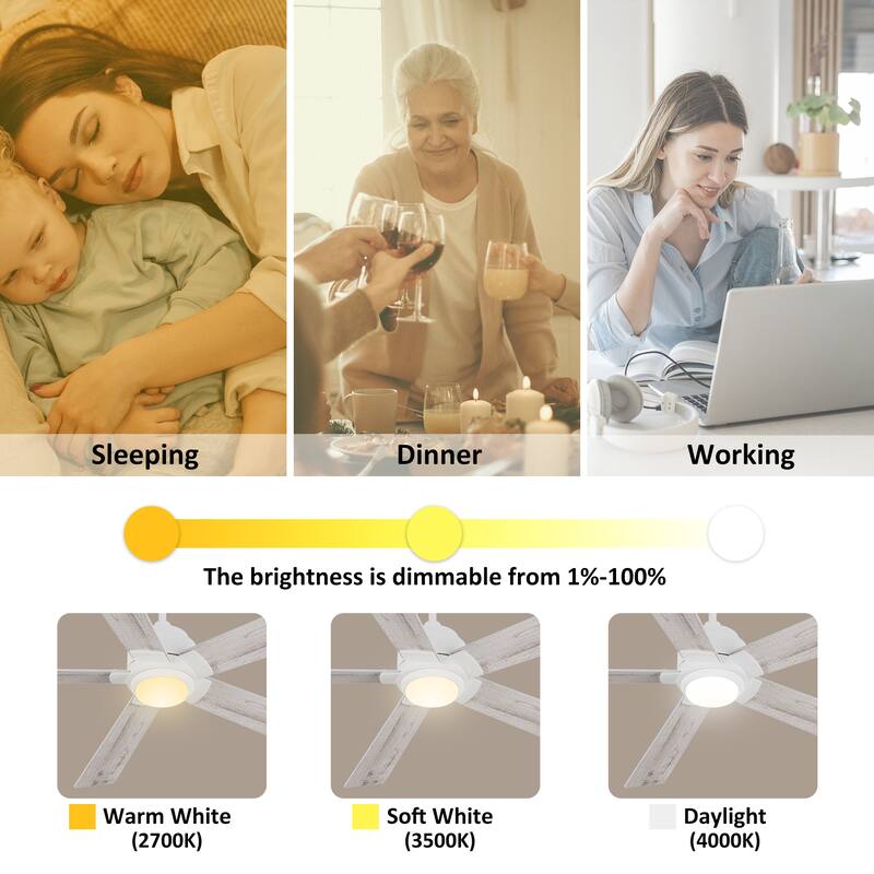 CARRO Livingston 60-inch Indoor Ceiling Fan with LED Light and Remote-Downrod - N/A