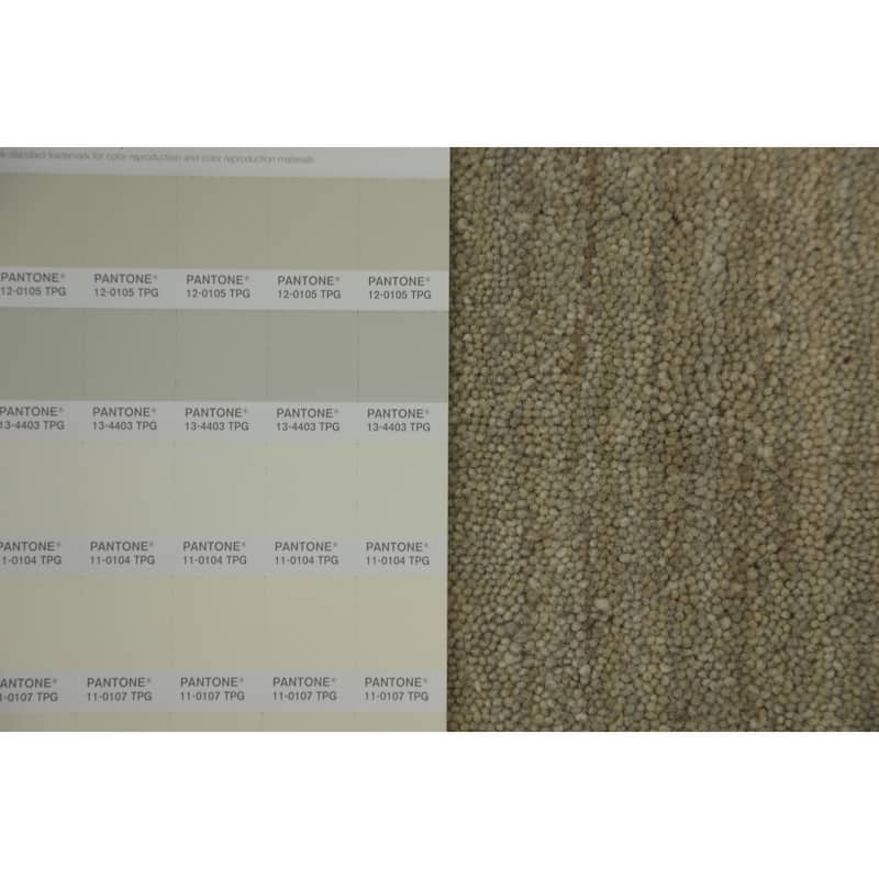 Hand Knotted Oriental 100% Wool Carpet Tribal Animal Pictorial Beige & Ivories Gabbeh Area Rug - 7' 11'' X 4' 11''