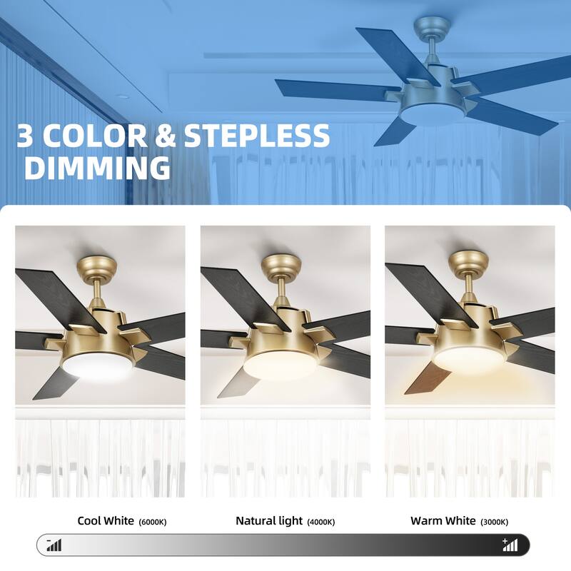 52 Inch Modern Ceiling Fan With Light And Wall Switch Remote