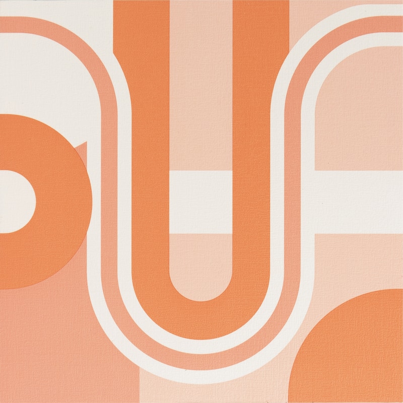 Very Gay Paint Brenda Daworld Terracotta Peel and Stick Floor Tiles