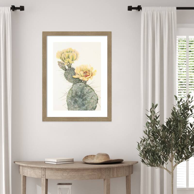 Missouri Prickly Pear From North American Wildflowers (1925) by Mary Vaux Walcott Wood Framed Wall Art Print