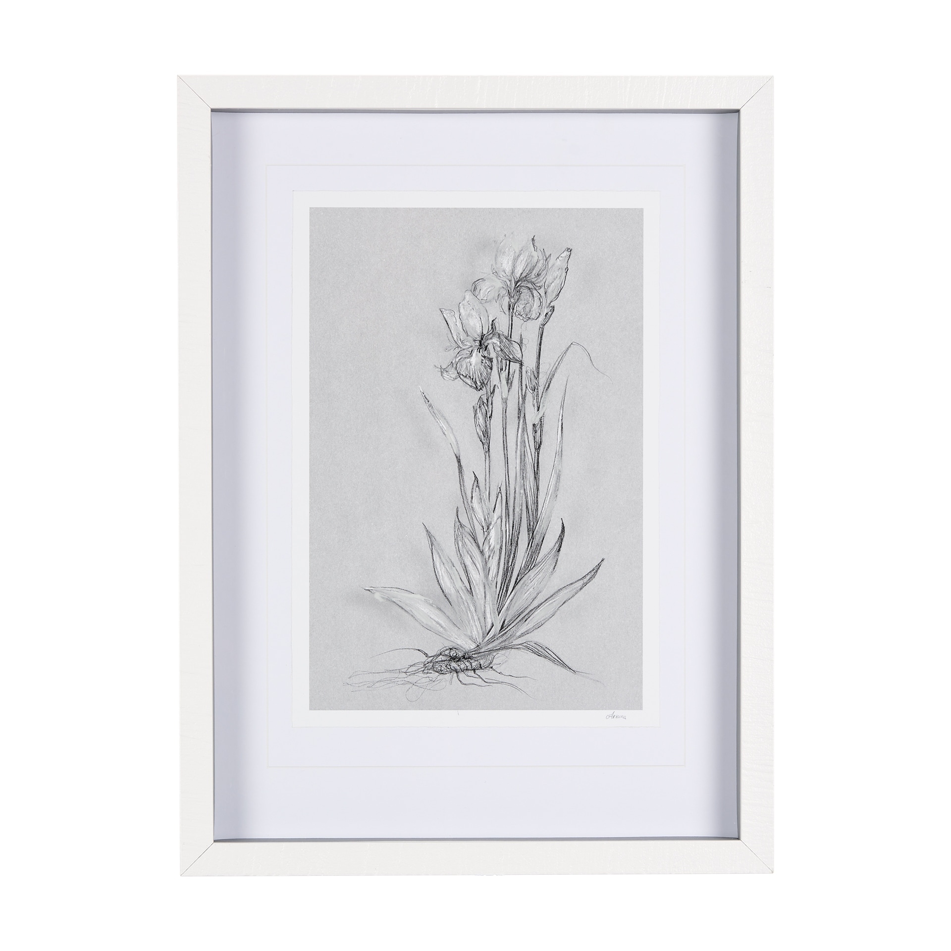 Botanical sketches IV (Grey) by Mercana Studio Hand Embellished Framed Art Print Matted under Glass