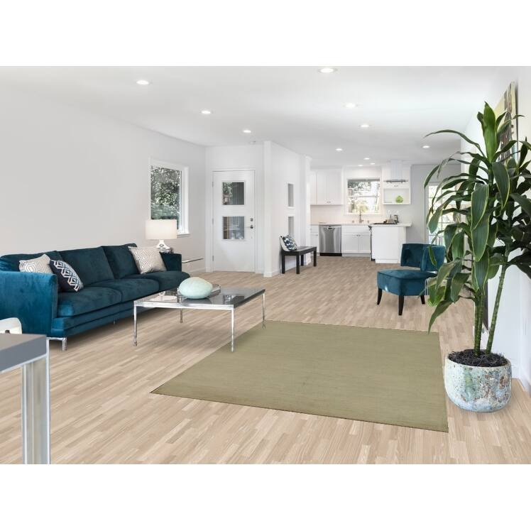 Contemporary Solid Gabbeh Oriental Area Rug Handmade Wool Carpet - 4'11" x 6'4"