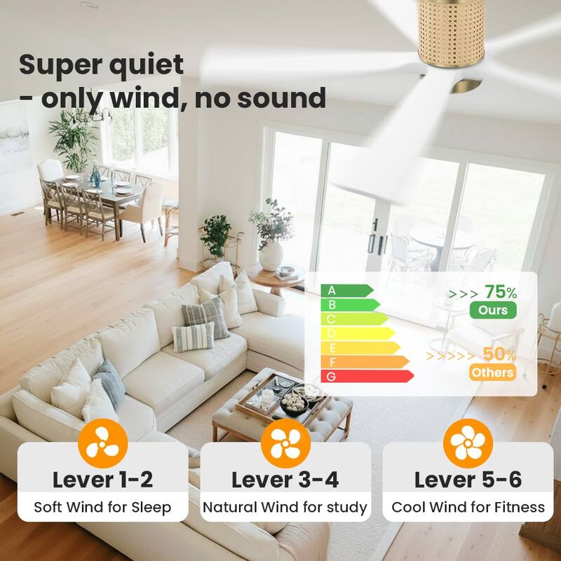 MLiAN 5 Solid Wood Blades Ceiling Fan with Lights Remote Control 6-Speed DC - 54''