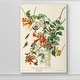 preview thumbnail 4 of 8, Pl 47 Ruby-throated Hummingbird -Premium Gallery Wrapped Canvas