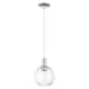 Option Clear Shade / Polished Nickel
