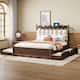 Option Walnut