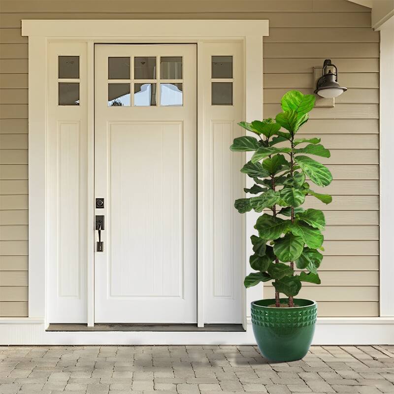 Set of 3 Ceramic Planters Diamond Pattern Plants for Succulents Herbs